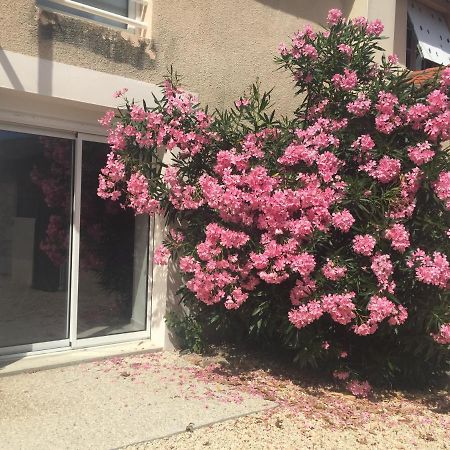 Gite De La Foye - Le Magnolia Combrand المظهر الخارجي الصورة