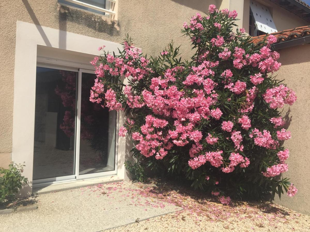 Gite De La Foye - Le Magnolia Combrand المظهر الخارجي الصورة